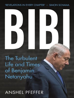 cover image of Bibi